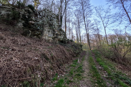 20250409_180559.jpg