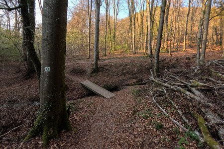 20250409_190502.jpg