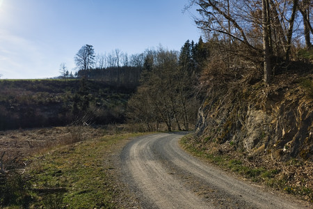 20250410_175520.jpg