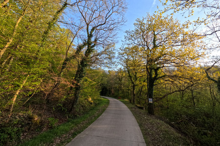 20250411_192904.jpg