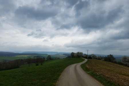 20250413_154351.jpg