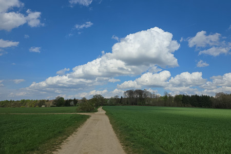 20250414_154447.jpg