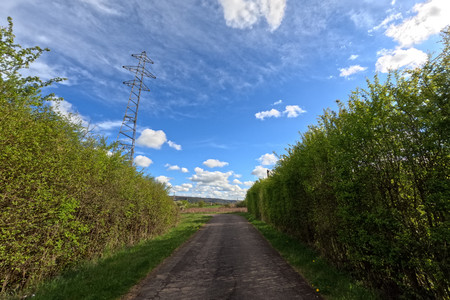 20250415_173155.jpg