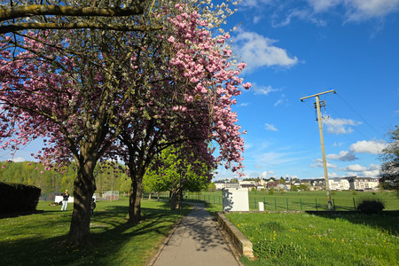 20250415_182135.jpg