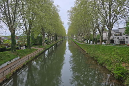 20250416_184256.jpg