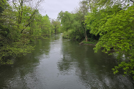 20250416_184725.jpg