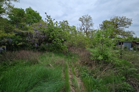 20250418_174741.jpg