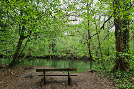 20250420_130500.jpg