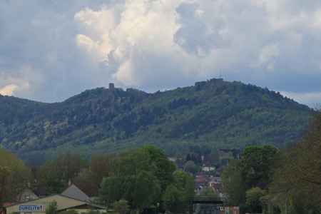 20250422_131244.jpg