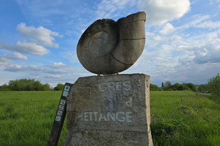 20250422_185150.jpg