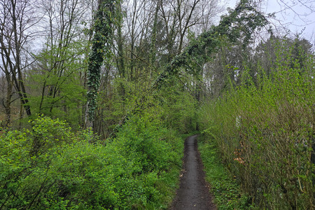 20250424_173823.jpg
