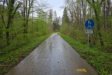 20250424_181704.jpg