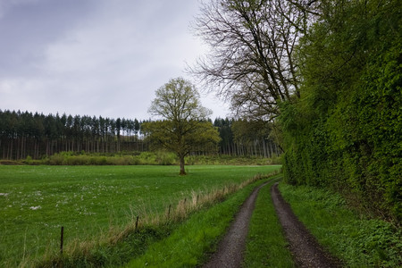 20250424_182356.jpg