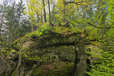20250426_160525.jpg