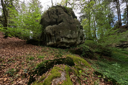 20250426_160929.jpg