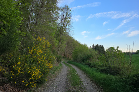 20250427_195002.jpg