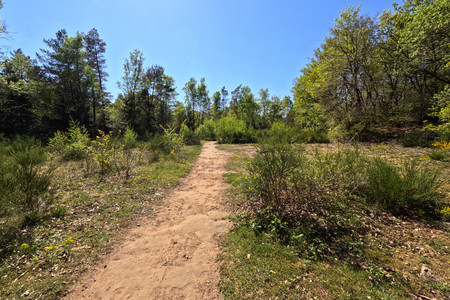 20250429_153148.jpg