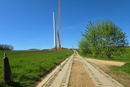 20250429_161528.jpg