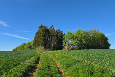 20250429_174038.jpg