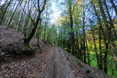 20250429_182004.jpg