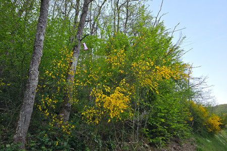 20250430_204550.jpg