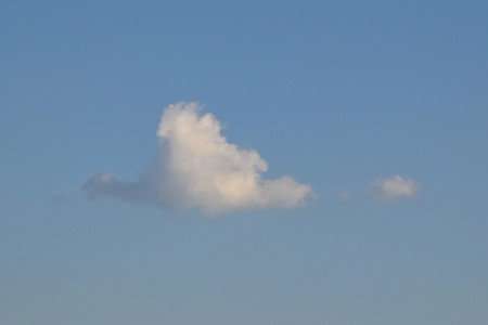 20250501_185604.jpg