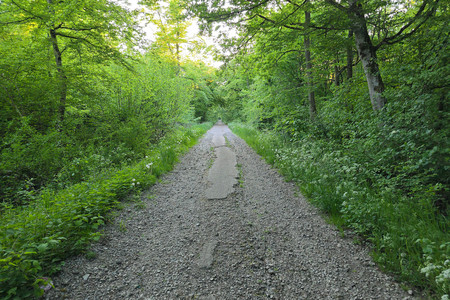 20250501_194826.jpg