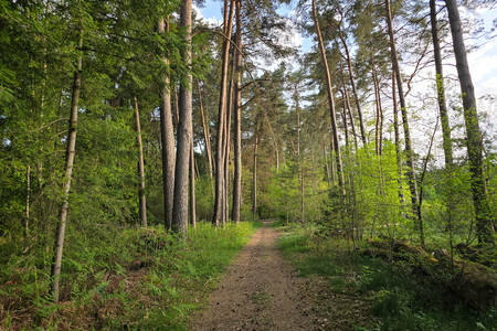 20250502_195450.jpg