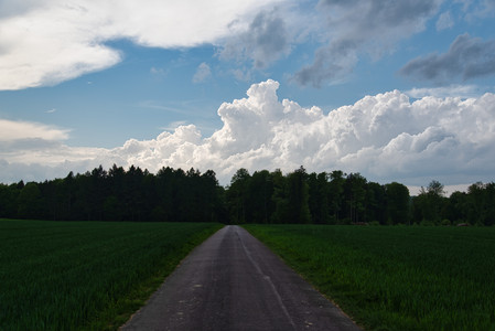 20250503_162319.jpg