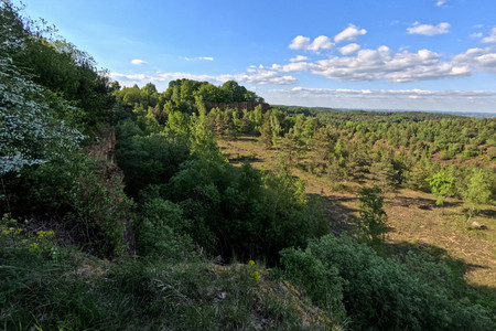 20250506_180106.jpg