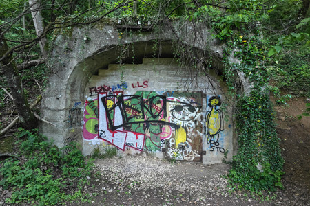 20250506_201253.jpg