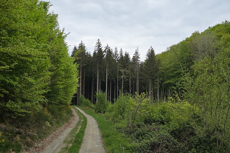 20250507_174649.jpg