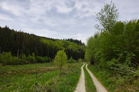 20250507_175708.jpg