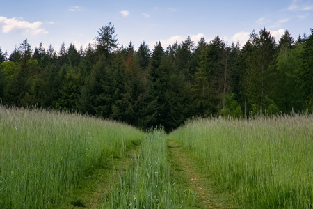 20250508_152608.jpg