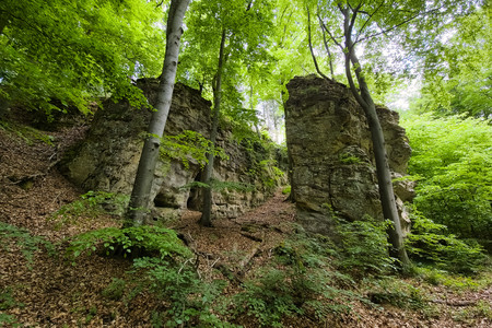 20250508_154002.jpg