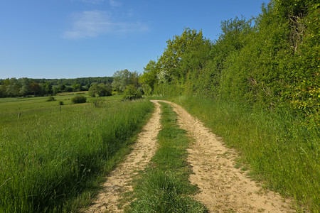 20250509_101412.jpg