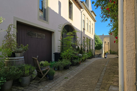 20250510_172617.jpg