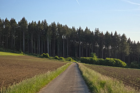 20250510_193645.jpg