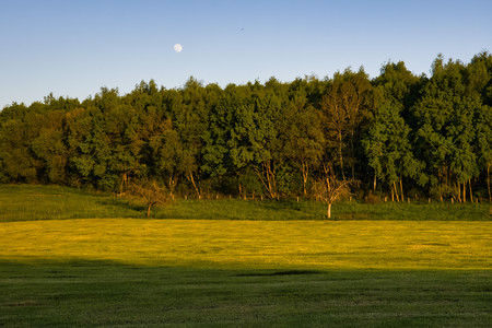 20250510_202602.jpg
