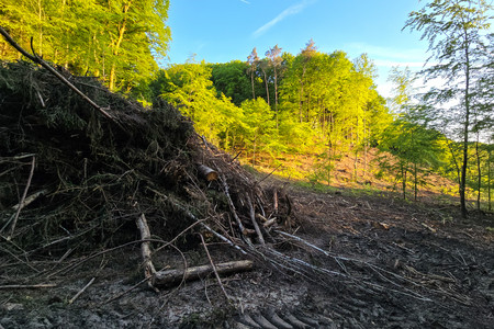 20250511_201802.jpg