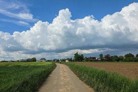 20250512_162527.jpg