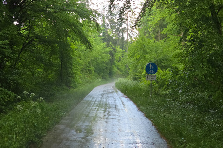 20250512_174909.jpg