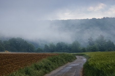 20250512_184623.jpg