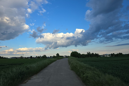 20250512_193321.jpg