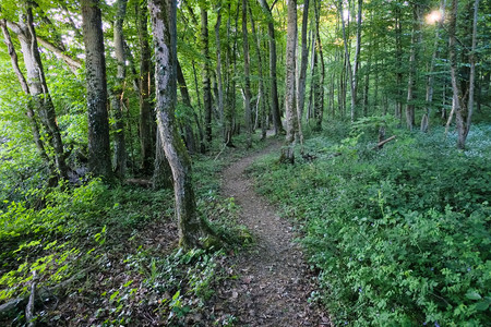 20250513_192811.jpg