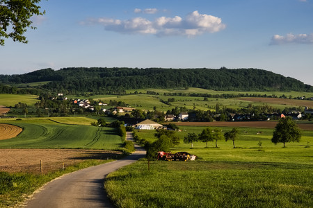 20250513_193547.jpg