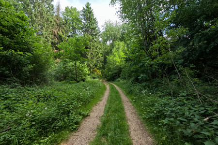 20250515_171052.jpg