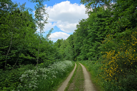 20250515_171400.jpg