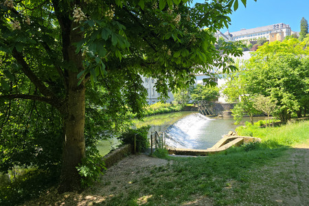20250516_121037.jpg