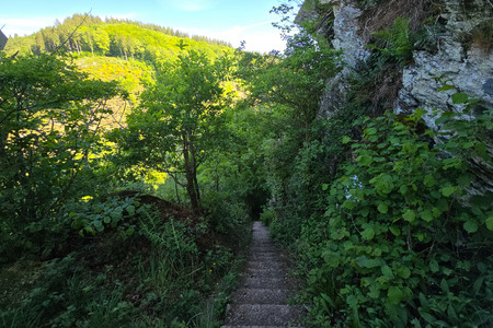 20250516_173107.jpg